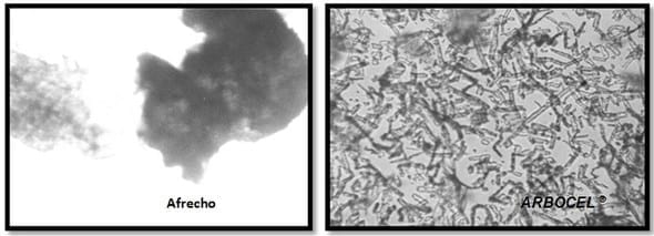 El rendimiento óptimo sólo con animales sanos, Papel fundamental de la nutrición - Image 1