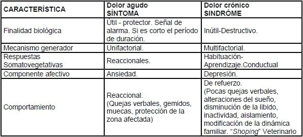 El Dolor en el Paciente Geronte: Generalidades - Image 3