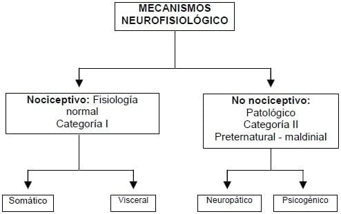 El Dolor en el Paciente Geronte: Generalidades - Image 2