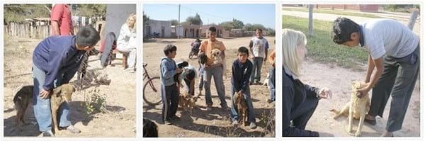 Determinación de la Prevalencia de las Parasitosis en Zona Urbana y Rural (Impenetrable chaqueño) de la localidad de Taco Pozo, Chaco. - Image 2