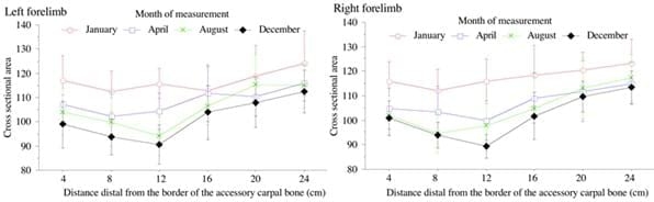 Se podrá entrenar el tendón flexor superficial en caballos? - Image 7