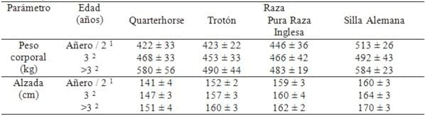 Se podrá entrenar el tendón flexor superficial en caballos? - Image 3