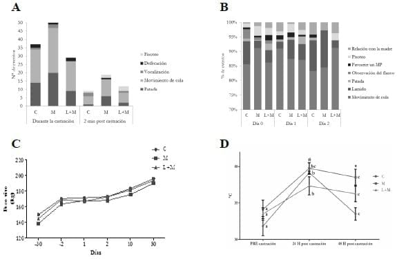 Analgesia preventiva mediante el uso de Meloxicam y/o Lidocaina en terneros de carne sometidos a castración quirúrgica - Image 1
