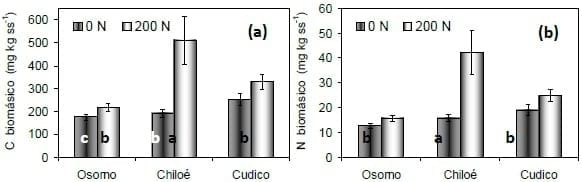 Efecto de la aplicación de nitrógeno sobre la biomasa microbiana en suelos volcánicos - Image 2