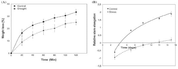 Caracterización de proteínas de transferencia de lípidos (ltps) en Lotus Japonicus: regulación y señalización hormonal durante estrés hídrico. - Image 1
