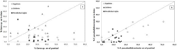 Selectividad de las principales especies vegetales de pastizales hidromórficos de alta cordillera en la región de Coquimbo, pastoreados por tres herbívoros: Equus Caballus, Lepus Europaeus y Thinocorus Orbignyianus - Image 2