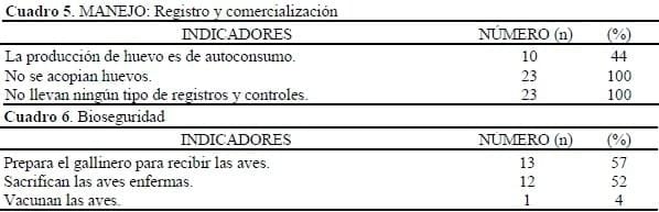 Situación de la producción avícola de traspatio en la comuna de Marchigüe, VI Región, Chile. - Image 3