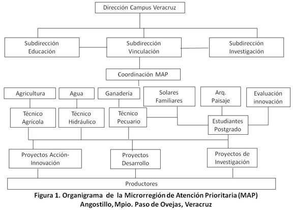 La Microrregión de Atención Prioritaria “Angostillo” del Municipio de Paso de Ovejas, México - Image 5