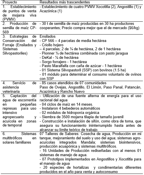 La Microrregión de Atención Prioritaria “Angostillo” del Municipio de Paso de Ovejas, México - Image 7