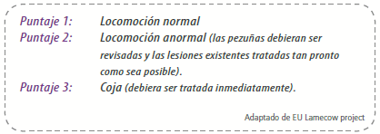 Ojo cuando el sistema cojea - Image 4