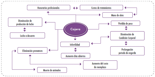 Las cojeras no pueden esperar - Image 7
