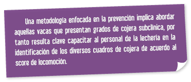 Manteniendo a raya los problemas de patas - Image 11
