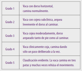 Manteniendo a raya los problemas de patas - Image 1