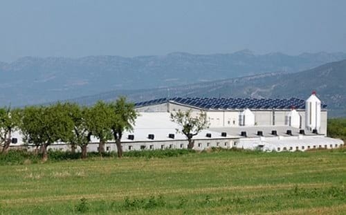 Autoconsumo en sistema híbrido: Abastecimiento eléctrico en una explotación porcina - Image 1
