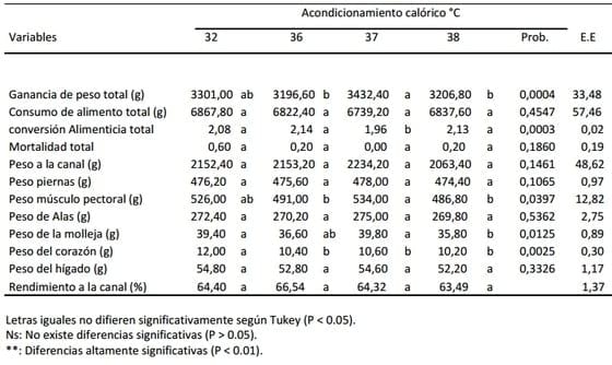 Efecto del acondicionamiento temprano de calor sobre los parámetros productivos del pollo - Image 3
