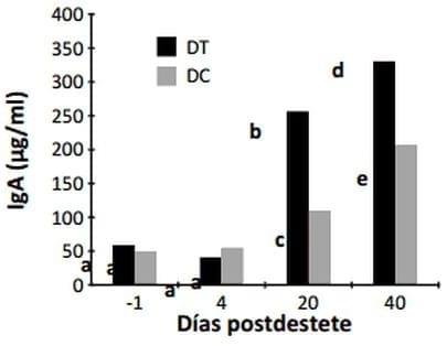 Algunos aportes sobre las ventajas o desventajas del destete temprano en criaderos intensivos porcinos - Image 1