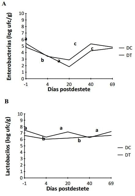 Algunos aportes sobre las ventajas o desventajas del destete temprano en criaderos intensivos porcinos - Image 2