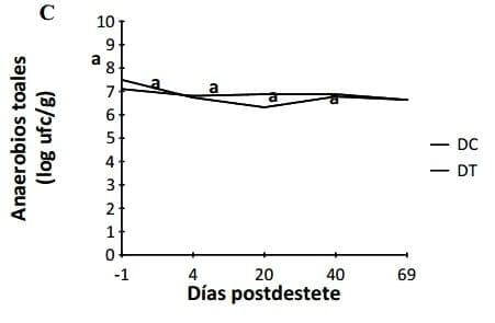 Algunos aportes sobre las ventajas o desventajas del destete temprano en criaderos intensivos porcinos - Image 3