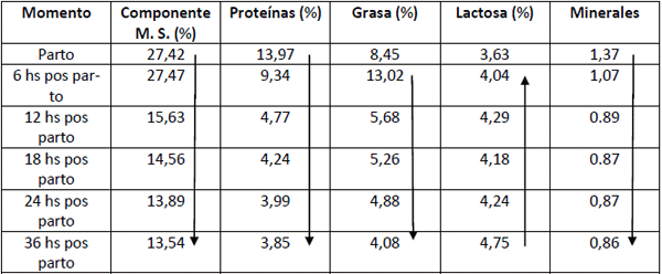 Algunas consideraciones sobre la cría artificial de terneros - Image 6
