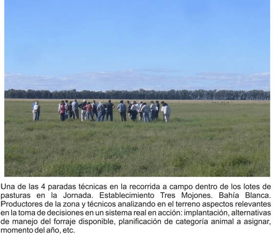 Encadenamiento forrajero de pasturas perennes sobre un sistema real de producción - Image 11