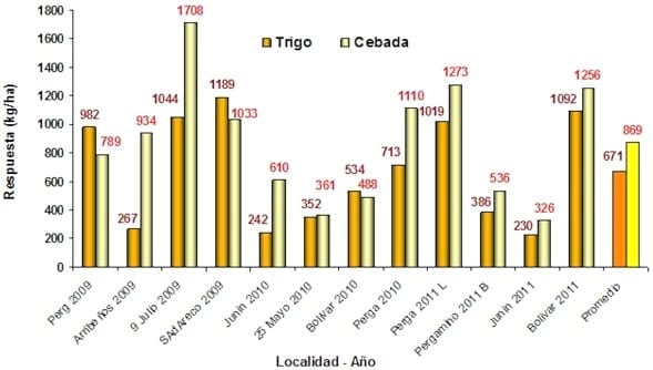 Rendimiento y eficiencia comparativa de uso de fósforo, nitrógeno y agua en trigo y cebada cervecera en la región centro y noroeste de Buenos Aires - Image 16
