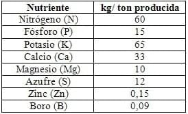 Respuesta del cultivo de colza a nitrógeno, azufre y boro. Campaña 2013/14 - Image 1