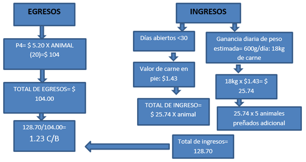 Evaluación de progesterona intravaginal post inseminación artificial para reducir la muerte embrionaria en vacas - Image 4