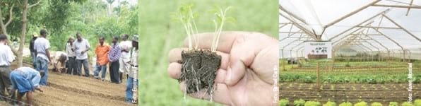La innovación en la agricultura: un proceso clave para el desarrollo sostenible - Image 9