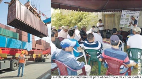La innovación en la agricultura: un proceso clave para el desarrollo sostenible - Image 7