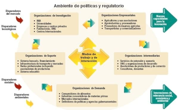 La innovación en la agricultura: un proceso clave para el desarrollo sostenible - Image 8