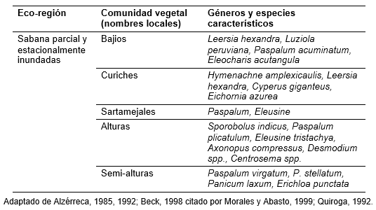La ganadería del Beni y la calidad de los pastos nativos frente a la de los pastos introducidos - Image 6