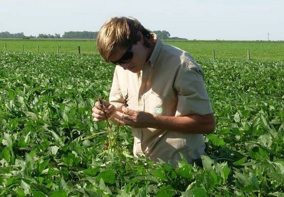 Agricultura Certificada, La sustentabilidad se construye entre todos - Image 2