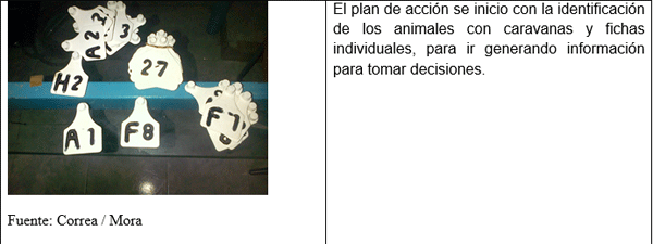 Impulso Tecnologico para el Crecimiento del Sector Lechero Formoseño - Image 1