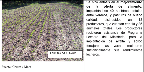 Impulso Tecnologico para el Crecimiento del Sector Lechero Formoseño - Image 2