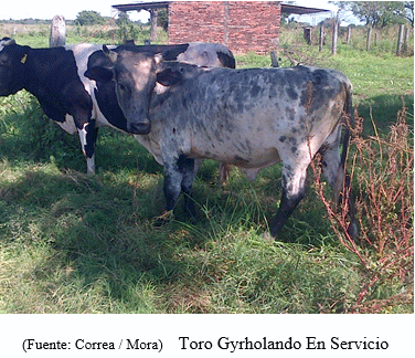Impulso Tecnologico para el Crecimiento del Sector Lechero Formoseño - Image 6
