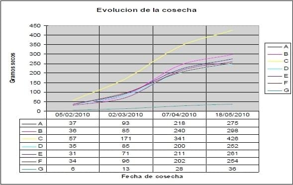 Comparación de diferentes modelos de aplicación de tecnologías en la producción de pimiento seco para pimentón (Capsicum annuum L.) en el área de riego de Santiago del Estero, Argentina - Image 19