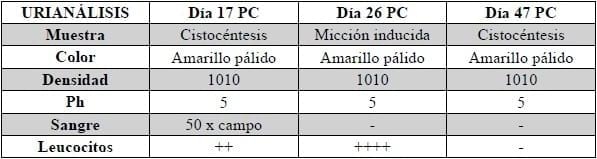 Caso Clínico: Retención urinaria por leiomioma Uterino en una perra. - Image 4