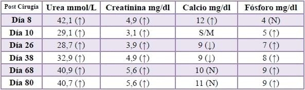 Caso Clínico: Retención urinaria por leiomioma Uterino en una perra. - Image 3