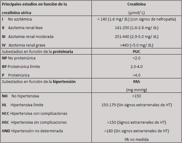 Aplicación de células madre en el paciente felino con enfermedad renal crónica - Image 2