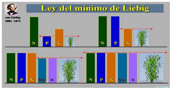 Fertilidad del Suelo - Image 6
