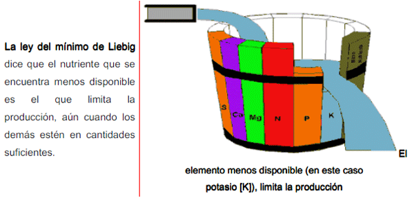 Fertilidad del Suelo - Image 5