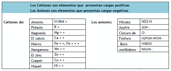 Fertilidad del Suelo - Image 2