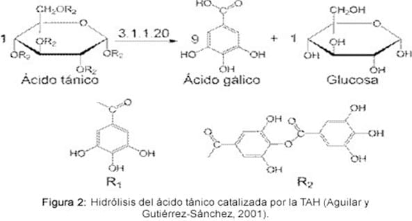 Efecto de taninos del sorgo en la nutrición de aves - Image 6