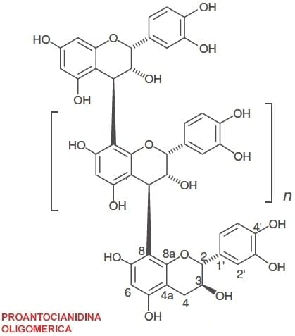 Efecto de taninos del sorgo en la nutrición de aves - Image 5