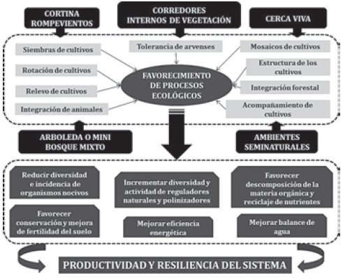 Contribución al diseño agroecológico de sistemas de producción urbanos y suburbanos para favorecer procesos ecológicos - Image 2