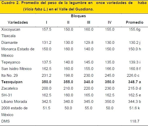 Rendimiento de legumbre y grano seco en 11 variedades de Haba (vicia faba l.) en el Valle del Guadiana, Durango - Image 2