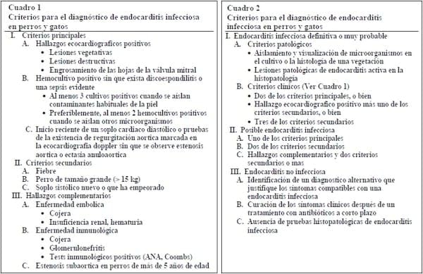 ENDOCARDITIS BACTERIANA: REPORTE DE CASO - BACTERIAL ENDOCARDITIS: CASE REPORT - Image 1