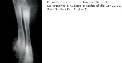 REFORZANDO EL CONCEPTO DE ESCORBUTO - Image 9