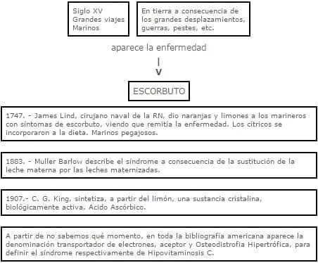 REFORZANDO EL CONCEPTO DE ESCORBUTO - Image 2