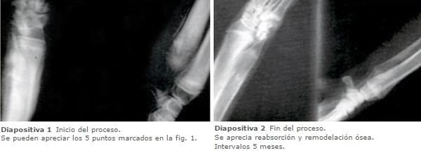 REFORZANDO EL CONCEPTO DE ESCORBUTO - Image 5